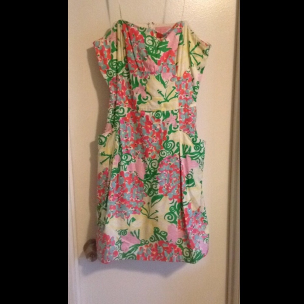 Lilly Pulitzer Dress 12